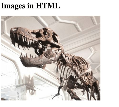 imagenes en html